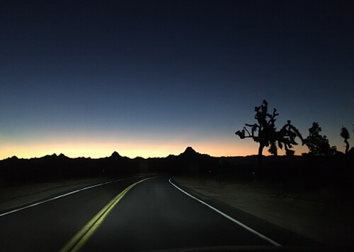 Looking ahead on desert road at sunrise, just slight amount to orange color over horizon.  Joshua Tree at right.