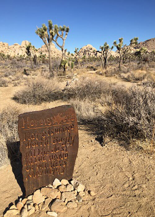 Rusty iron tomb marker that says "Bailey's Grave" in foreground, with some Joshua trees in background and clear blue sky.