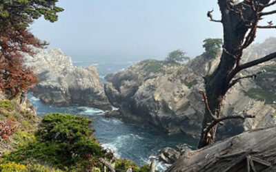 California Coast Highway 1 – Point Lobos to Pismo Beach