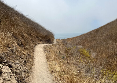 Dirt path with dried grass covered hills on each side, ocean ahead in the distance. Grey sky above.