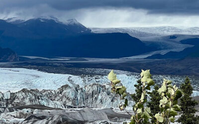 Epic Alaska with Glacier Exploring