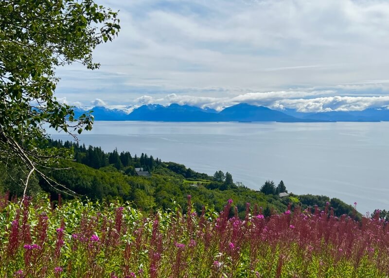 Looking over purple plants across lake, mountains and rainclouds in the background