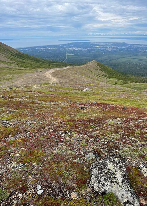 Looking down mountain covered short green and red shrubs, blue sky above.