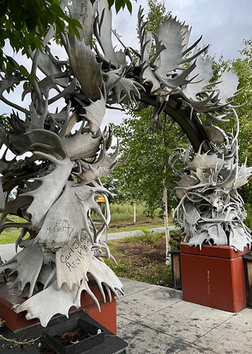 Archway of moose antlers that leads to a park