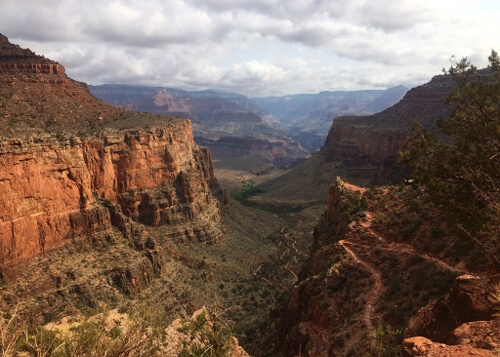 Looking down the Grand Canyon, with its red desert rock ridges near the top and green desert plants at bottom. Hiking trail winds down ridge at right. Cloudy grey sky in background.