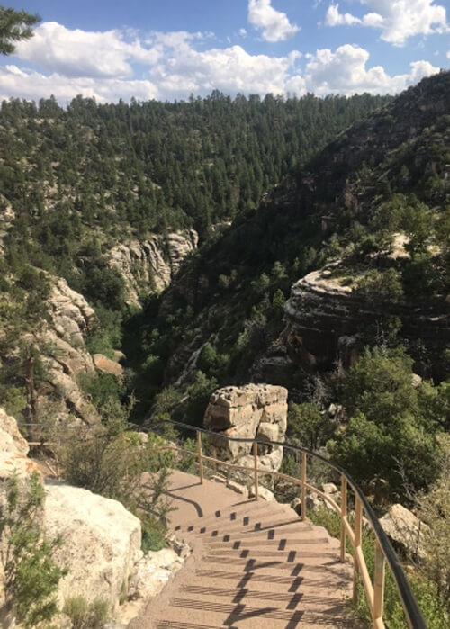 Stairs winding down white rock canyon filled with green forest trees and blue sky in background with a few clouds.