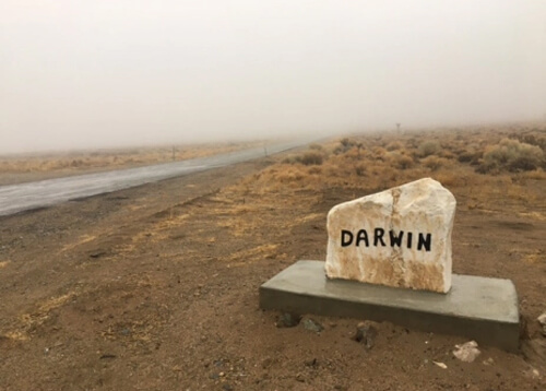 Darwin spelled out in uneven black lettering on white stone among dirt and desert brush on right side. Lone road at left disappearing into thick fog in the background.