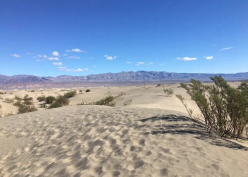 Sand and a few green desert weeds in foreground, a thin range of dark brown desert hills in the middle, and blue sky in background.