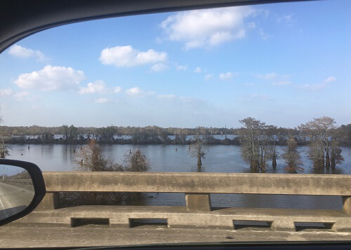 Looking over the edge of road bridge from car window into swampy area with some barren trees. Blue sky above with some clouds. 