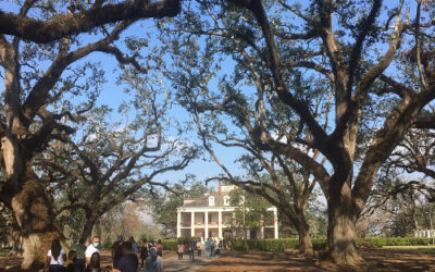 Louisiana and Natchez Trace