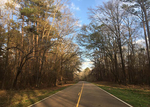 Road disappearing into trees ahead, blue sky with some clouds above. 