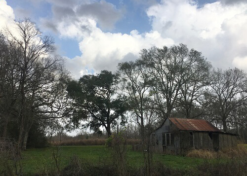 Shed with rusty tin roof at far right in the grass, with some trees nearby. Cloudy sky above.