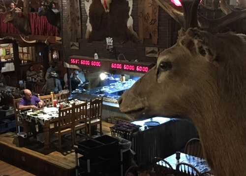 Looking down on first floor of restaurant from second floor railing, with a stuffed deer's head in view.