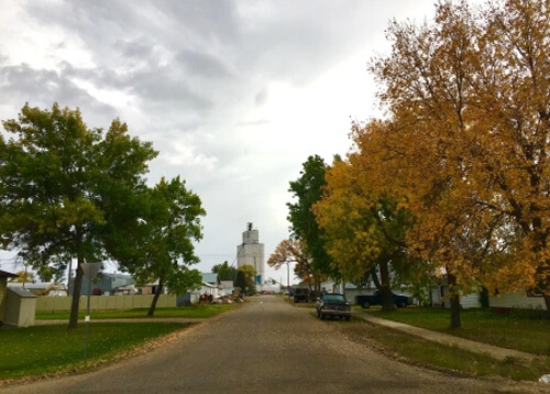 Road leading to grain silo, with green trees at left and yellow trees at right.  Cloudy grey sky above.