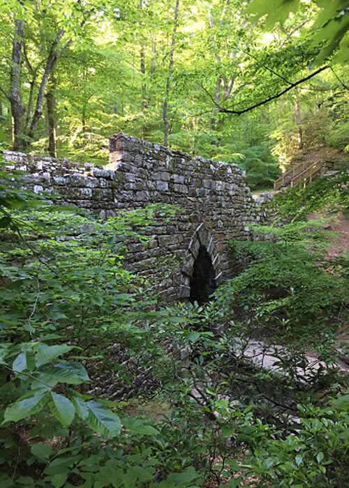 Road bridge made of stones over a stream, lush green plants and trees surrounding the bridge and stream.