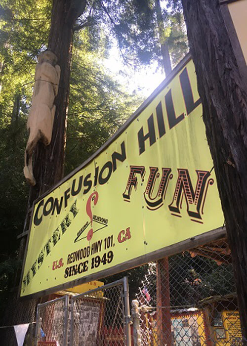 Sign that says "Confusion Hill, Mystery and Fun" perched between two tall forest trees.  Sunlight coming through trees above.