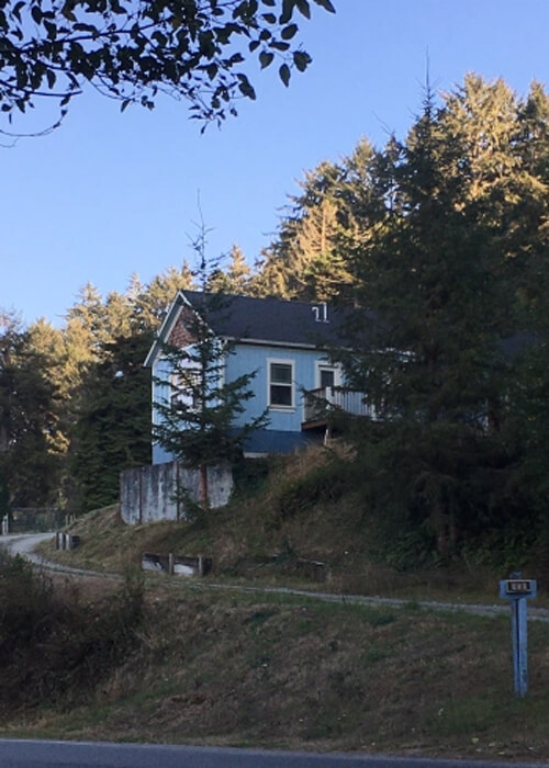 Blue single-story house perched on a hill amongst thick trees, blue sky above and no clouds.  Some grass on hill beneath house.