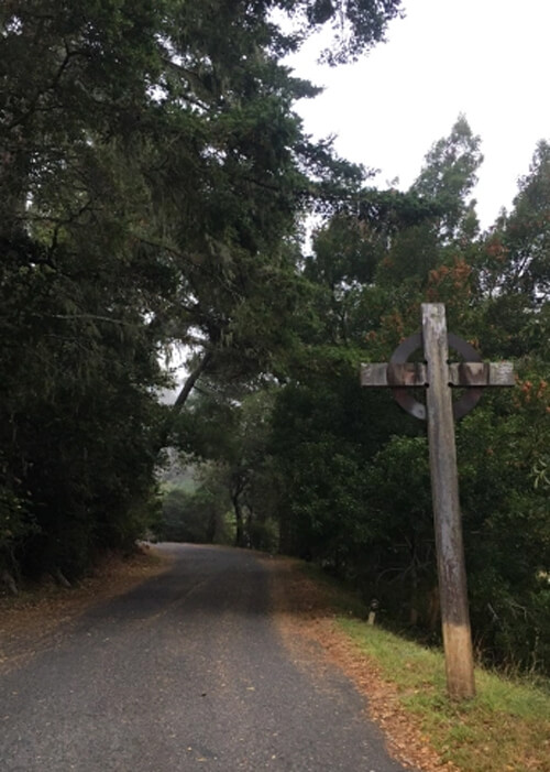 Narrow tree-lined cement road winding up a hill, wooden cross-like structure perched at right.