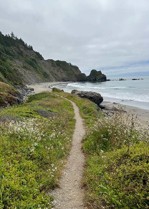 Dirt path leads in between green grass and white flowers and onto a beach at right, rock cliffs at left in the distance. Grey sky above.