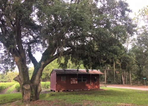 Red shack in middle of photo sitting on green grass and below a thick green tree.  The shack is a barber shop.