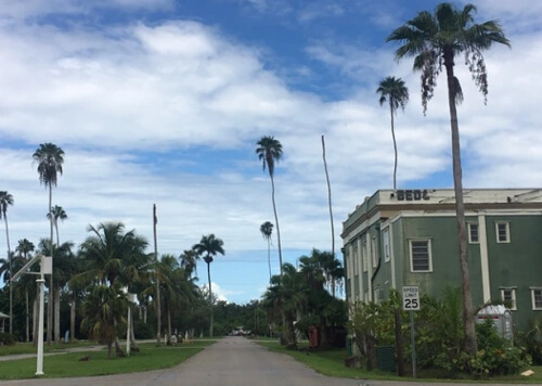 Two-story square green building with white trim at right, narrow road leading into green trees in horizon, street lined with palm trees. Blue sky with scattered white clouds in background.