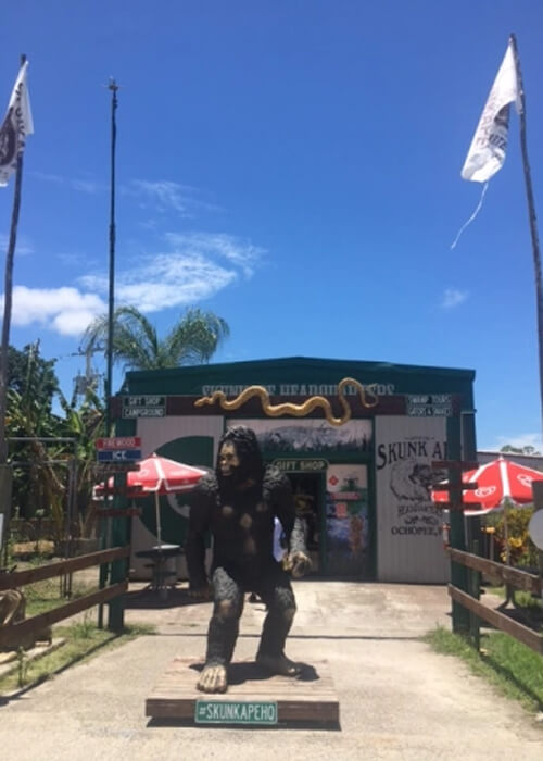 Statue of ape looking figure with "skunk ape" printed at bottom. Small single story shack behind the figure, saying Skunk Ape Research Center. Blue sky behind the shack and figure.