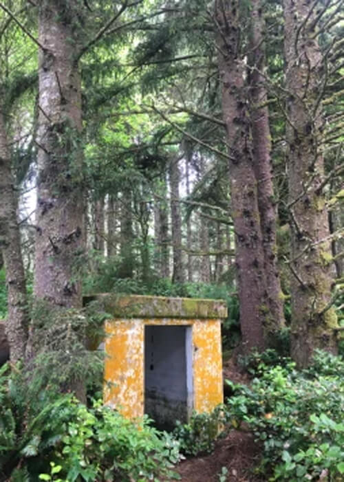 Faded orange single room cement barrack sitting among thick bushes and tall green trees.