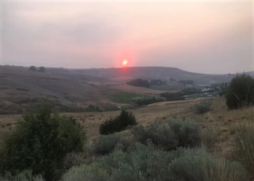 Hazy red sun in distant horizon sitting above a series of yellow grass and green brush covered hills.  Reddish grey sky above.