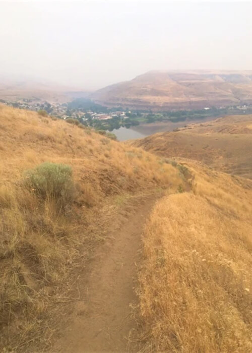 Dirt trail winding down a yellow grass covered hill towards a small lake.  Foggy sky above. 