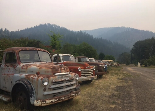 Row of rusty 1950's trucks with forested hills in background, hazy smokey sky above.