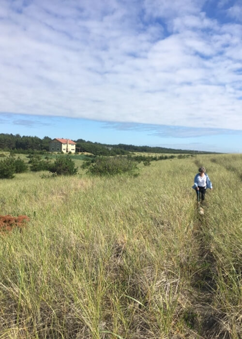 Knee high grass with a narrow dirt trail, lady walking her dog on trail.  House at left far off in the distance, and cloudy blue sky above.