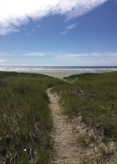 Sand trail through thick sand dune grass leading to beach, blue sky with a few clouds above.