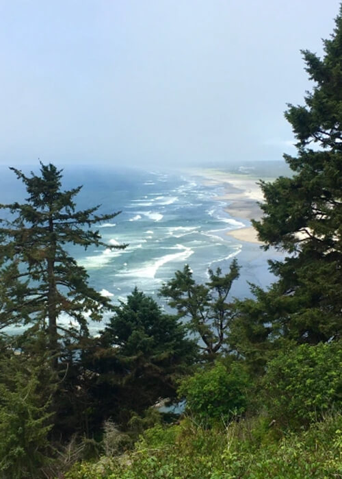 Looking down from vista point through trees to ocean coastline, blue sky above.