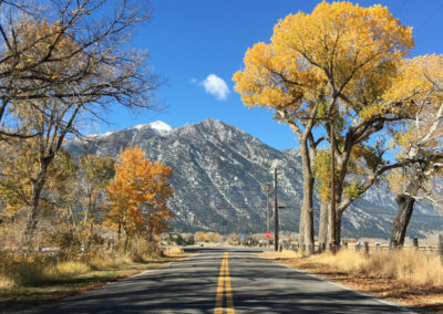 Highway aimed straight ahead into range of snow-capped desert mountains and in between some yellow leaved trees, blue sky above.