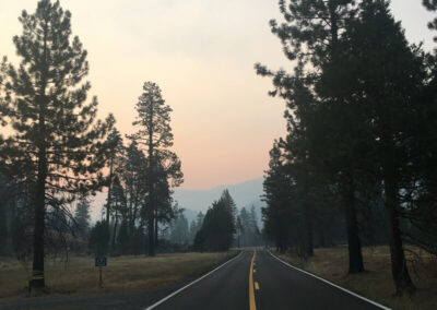 Highway aimed straight ahead into the pine trees, yellow grass and trees on both sides, hazy orange sky above at sunrise.