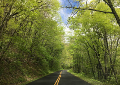 Road aimed straight ahead for a distance then turning right, bright green trees on both sides and cloudy blue sky above.