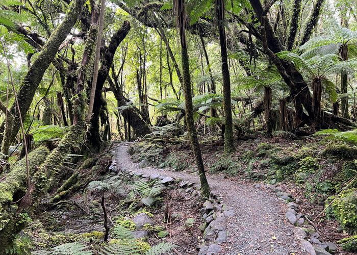 A dirt and gravel walking path curves and winds through a green, tree-filled area.