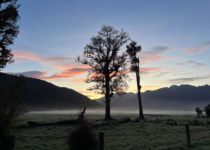 Early-morning landscape view of a think layer of fog hovering above the ground while silhouettes of trees and mountains appear in the foreground and background.