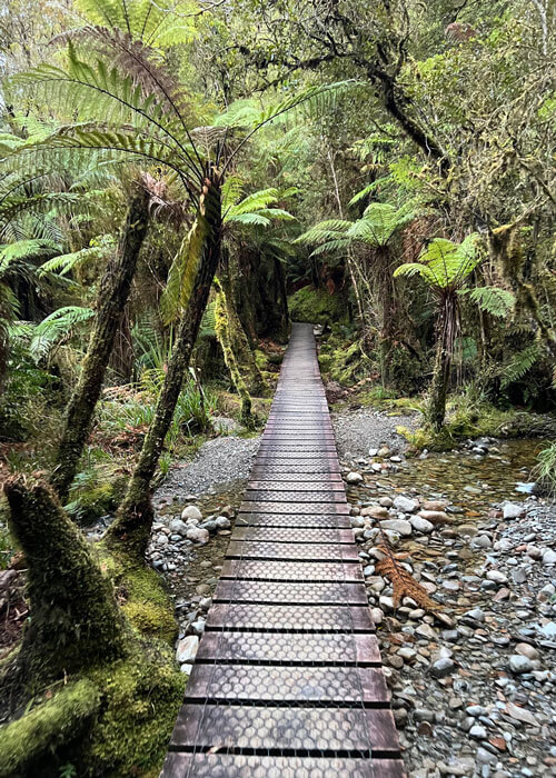 Straight wooden plank foot path leading to and through a lush, green tree-covered area.