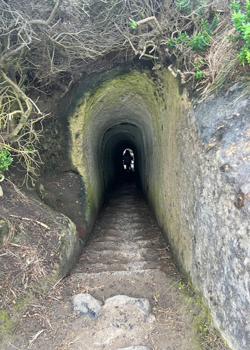 Looking down into a narrow tunnel and foot path leading towards Tunnel Beach.