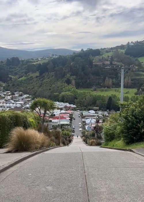 View from the top of Baldwin Street, looking down the steep roadway.