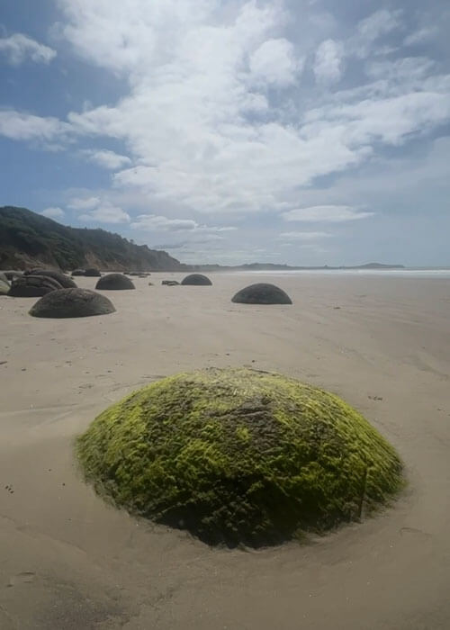 Close-up of a Morekai Boulder covered with green moss, and more large bolders further out, all wedged in hard sand at a beach.