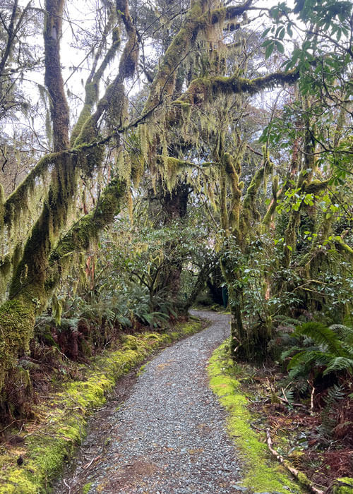 A gravel walking path winds through lush greenery and trees.