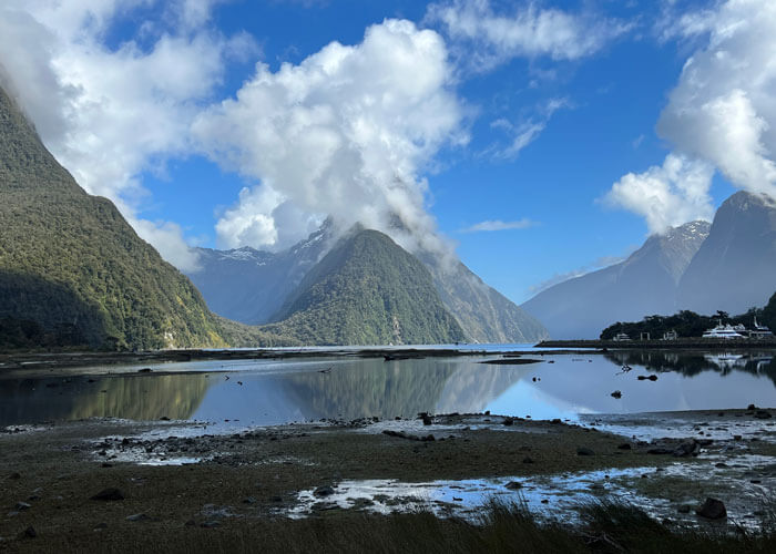 A landscape view of Millford Sound from the shoreline, with tree-covered mountains and water featured against a cloud-filled blue sky.
