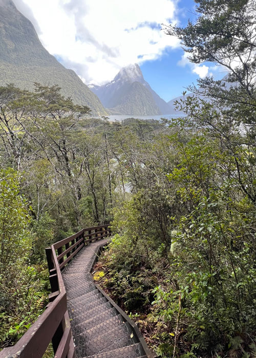 A landscape portrait of a wooden staircase going down a hill in the immediate foreground winding through trees as large mountains tower in the distance.